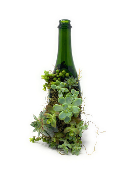 Standing up “Half-Dome” upcycled wine bottle planter
