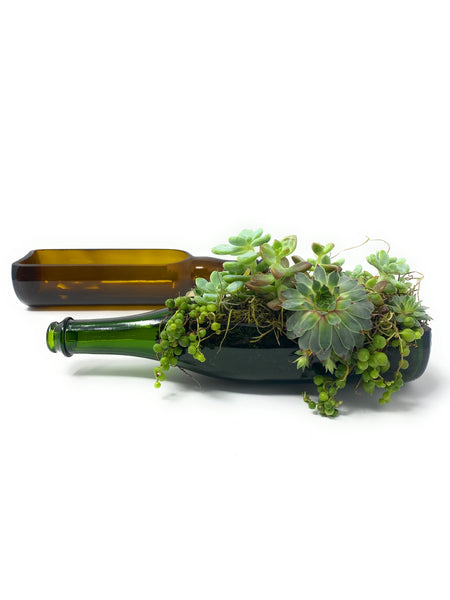 Two “Half-Dome” upcycled wine bottle planters