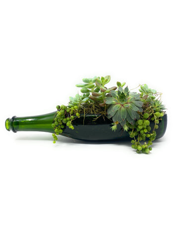 “Half-Dome” upcycled wine bottle planter