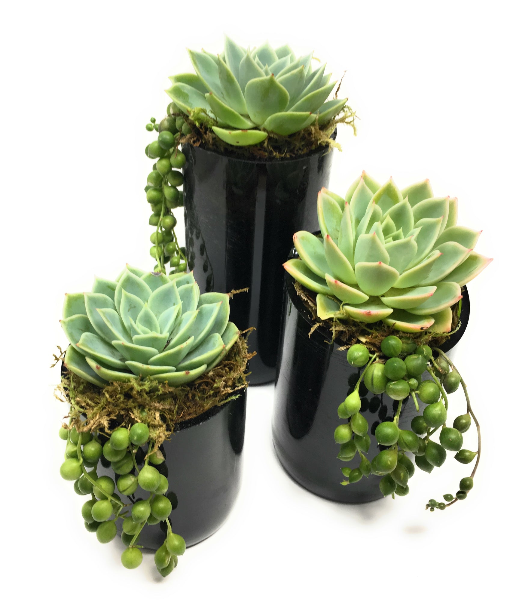 3 Pack of Upcyled Wine Bottle Succulent Planters